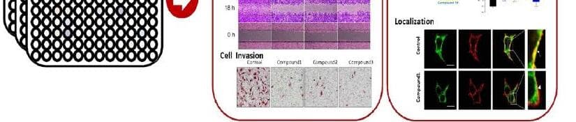 에스트리온 제품 이미지