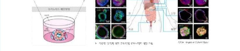 세라트젠 제품 이미지
