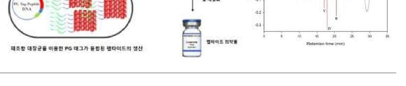 펩진 제품 이미지