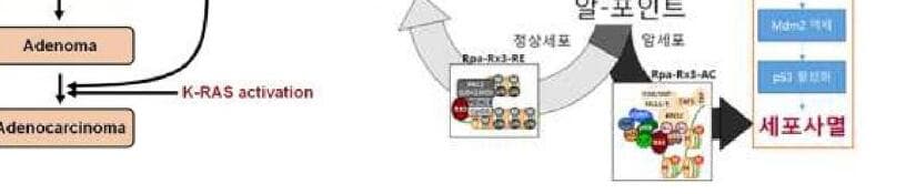 런엑스 제품 이미지