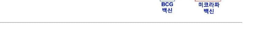 미코라파 제품 이미지