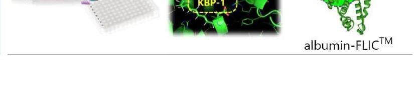 키텍바이오 제품 이미지