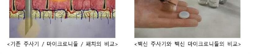 쿼드메디슨 제품 이미지