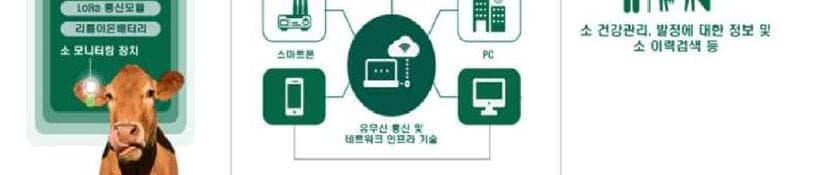 팜프로 제품 이미지