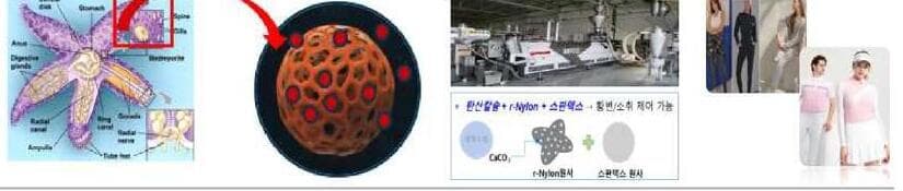 쿨베어스 제품 이미지