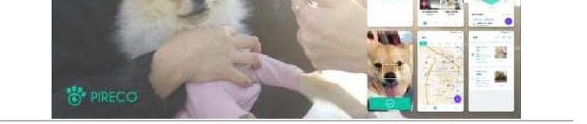 파이리코 제품 이미지