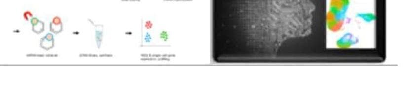 아이노클 제품 이미지