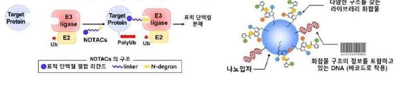 카멜바이오사이언스 제품 이미지