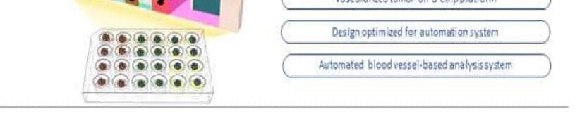 큐리오칩스 제품 이미지