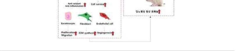 엘큐바이오 제품 이미지
