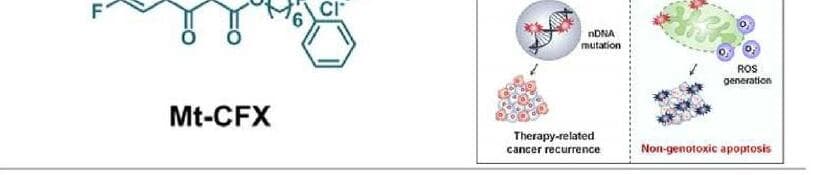 테라노켐 제품 이미지