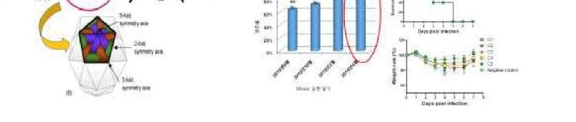 왓슨알앤디 제품 이미지