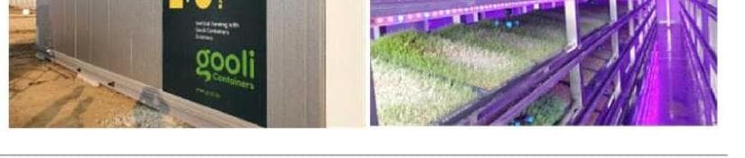 굴리 제품 이미지