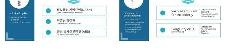 메디스팬 제품 이미지