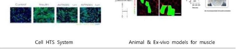 아벤티 제품 이미지