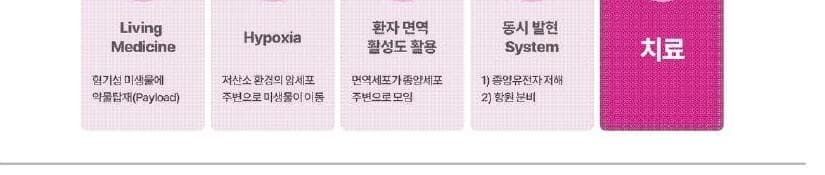 신렉스 제품 이미지