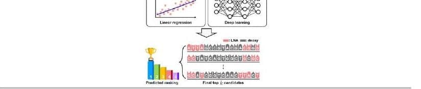 스파이더코어 제품 이미지