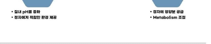 그리니쉬 제품 이미지