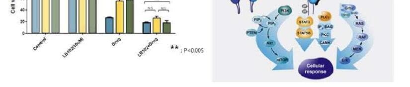엘베이스 제품 이미지
