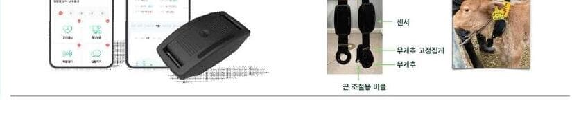 바딧 제품 이미지