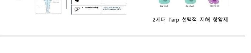 다임바이오 제품 이미지