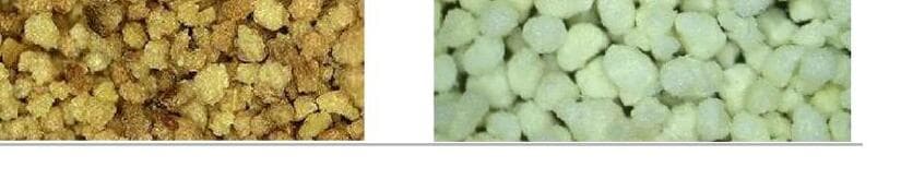 루츠랩 제품 이미지