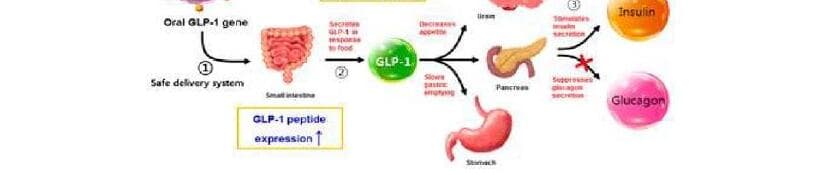 케이비바이오메드 제품 이미지