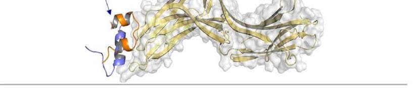 프린슐린바이오텍 제품 이미지