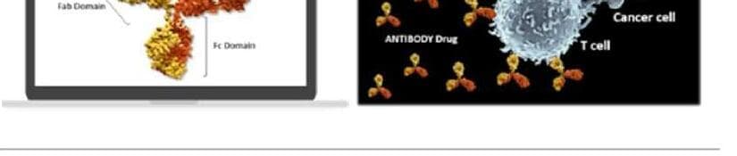 메디맵바이오 제품 이미지