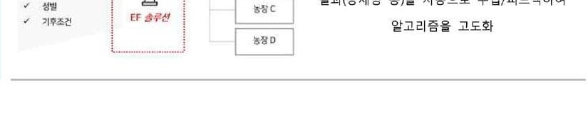 이에프 제품 이미지