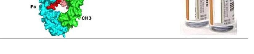 부스트이뮨 제품 이미지