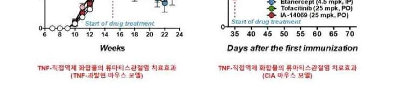 아이랩 제품 이미지
