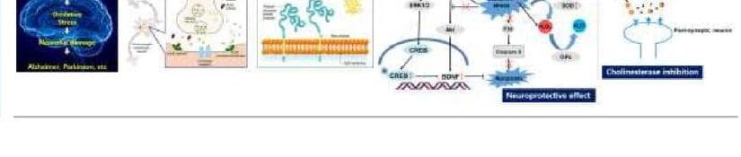 케이메디켐 제품 이미지