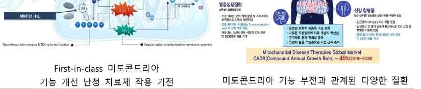 프라임뮤파마 제품 이미지