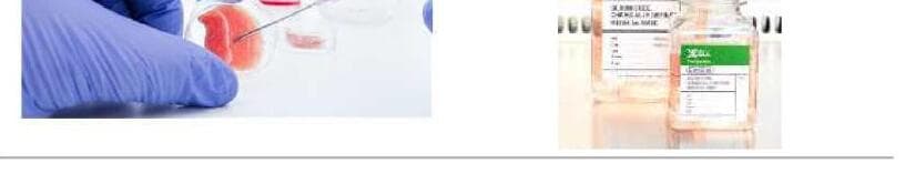 엑셀세라퓨틱스 제품 이미지