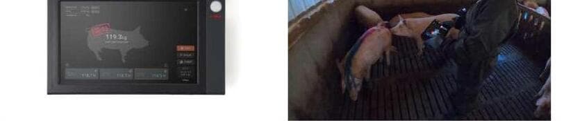 일루베이션 제품 이미지