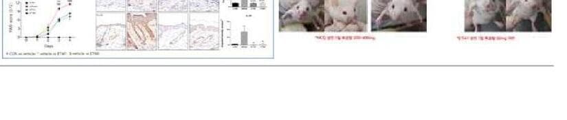 에스앤케이테라퓨틱스 제품 이미지