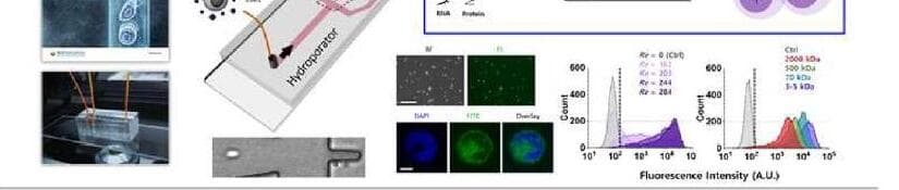 엠엑스티바이오텍 제품 이미지