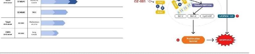 온코젠 제품 이미지