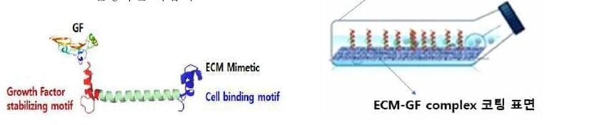 티엠이테라퓨틱스 제품 이미지