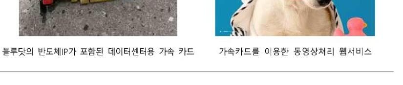 블루닷 제품 이미지