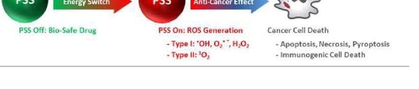 오투메디 제품 이미지