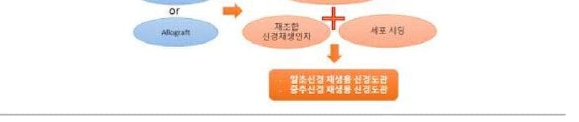 와이어젠 제품 이미지