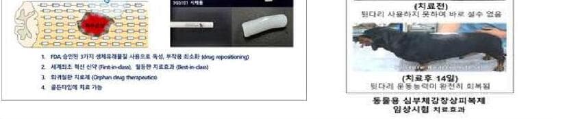 슈파인세라퓨틱스 제품 이미지