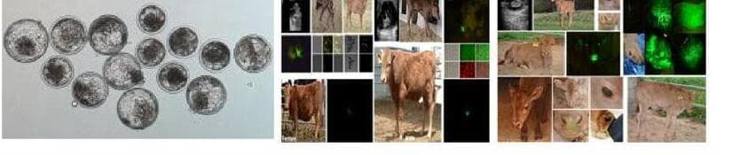 라트바이오 제품 이미지