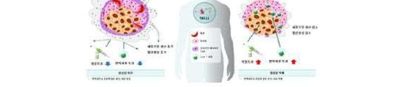 트윈피그바이오랩 제품 이미지