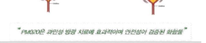 파마코렉스 제품 이미지