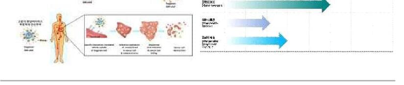 진메디신 제품 이미지