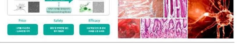 셀라퓨틱스바이오 제품 이미지