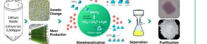 그린미네랄 제품 이미지